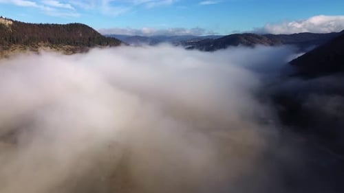 Aerial View of a Hilly Forested Landscape Shrouded in Mist Serene and Mysterious Landscape