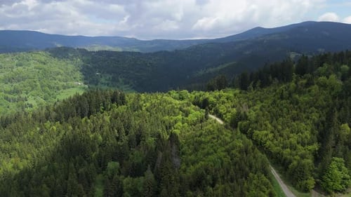 Mountain Forest and Rural Road From Aerial Perspective