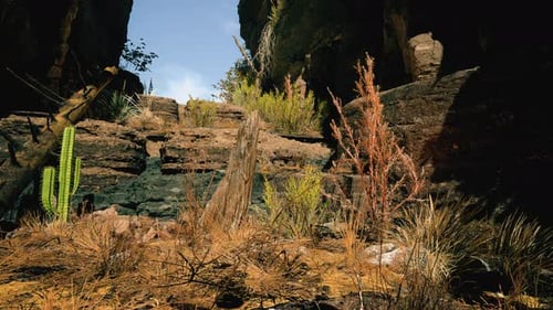 Overview of an entrance to a rocky canyon, with rugged rocks and dry grass