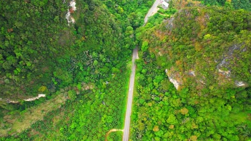 Trees tunnel road and limestone hills