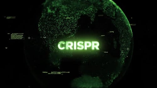 Futuristic Digital Globe Technology Logo Reveal