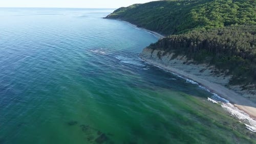 Beach Between a Ledge Covered with Vegetation and a Black Sea Under a Clear Blue Sky