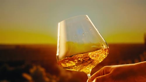 Orange or White Wine Bottle and Glass Against a Sunset in a Peaceful Vineyard Pouring of Ecological