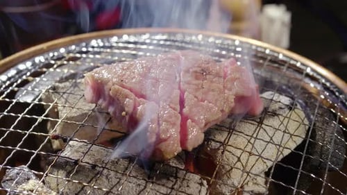 Raw Meat Cooking on Grill Over Coals