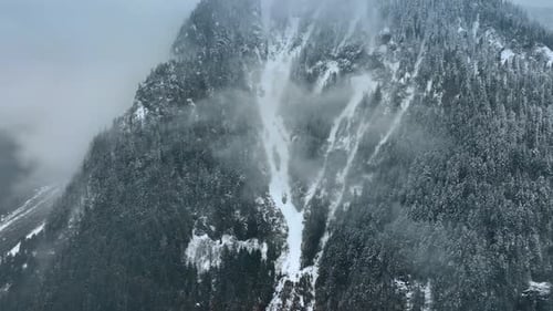 Aerial view of forest in mountains. Mountain road in forest.