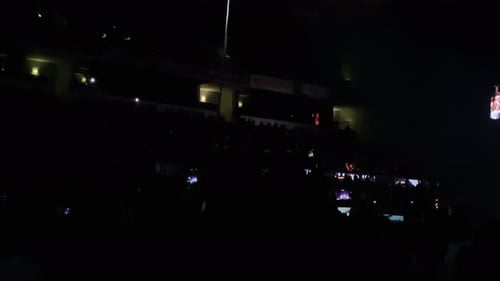 Arena cheering crowd lights music