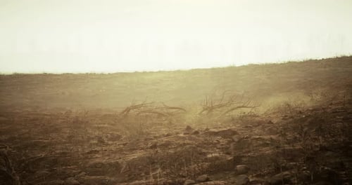 Wildfire Aftermath Reveals Barren Landscape in Hazy Atmosphere