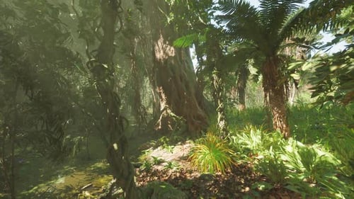 Lush Green Jungle in China with Towering Trees and Vibrant Undergrowth