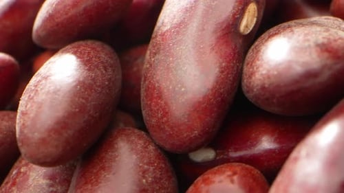 Close Up of Red Kidney Beans
