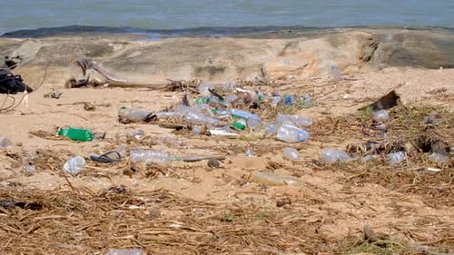 Plastic bottle trash littering beach from ocean, human impact polluting marine coastal environment