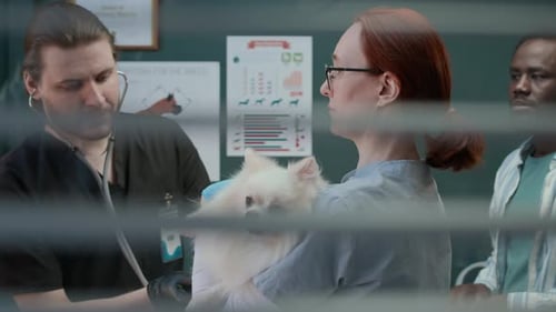 Vet Listening to Dog with Stethoscope in Clinic