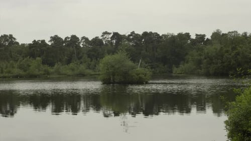 beautiful and calming scenery at the lake in the forest Europe. Small lake with small island in the