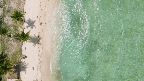 Tropical Island in Samal Davao Del Norte Philippines