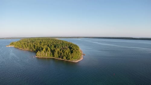 Aerial view of lush forest peninsula in Les Cheneaux Islands, Michigan