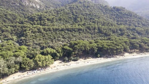 Drone Flies Over a Beach and Sea Bird Eye View