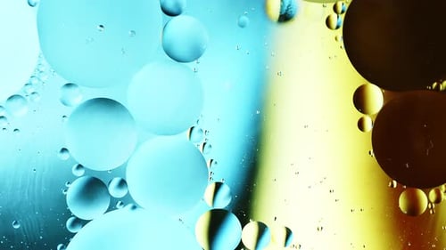 Real close up oil bubbles in water rotation with color gradient abstract mixing background.