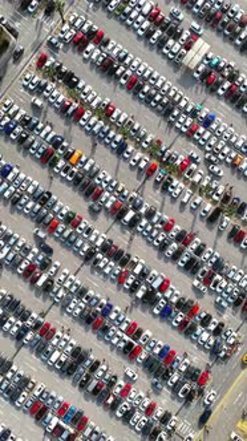 Vertical video of vehicles in the parking lot