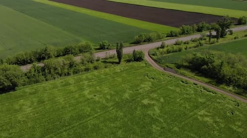 green barley and wheat fields aerial view