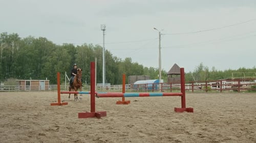 Jumping over Obstacles on Horseback Riding Training