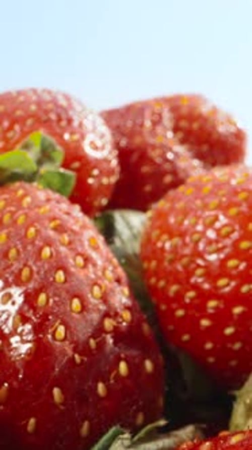 A bunch of strawberry against the blue sky, Dolly slider Vertical. Social Media