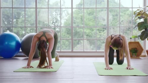 Two Women Practicing Yoga in Bright Indoor Studio