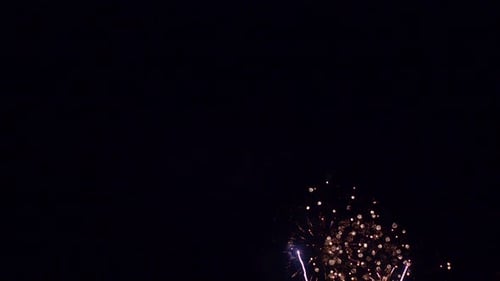 Fireworks Exploding in the Night Sky