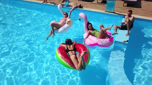 Aerial of Friends Having Party in Swimming Pool with Inflatable Flamingo Swan Mattress Happy Young
