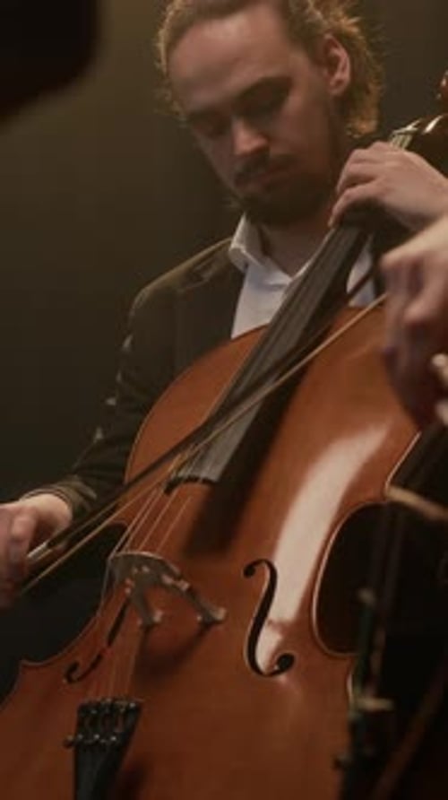 Vertical of String Musicians Playing at Concert