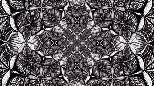Abstract Fractal Zentangle Flower Endless Background Loop
