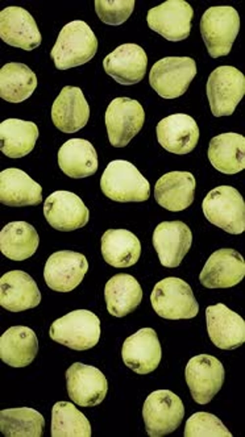 Vertical Falling Guavas on Alpha
