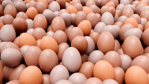 Seamless Loop of Tumbling Brown and White Eggs