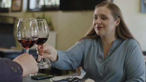 Slow motion highlights of a woman enjoying wine with a business partner in a cozy restaurant setting
