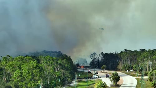 Fire Department Chopper and Firetrucks Extinguishing Wildfire Burning Severely in Florida Jungle