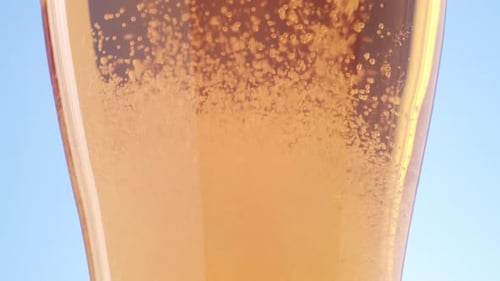 Beer Being Poured Into a Glass