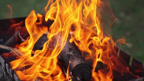 Detailed motion of vivid flame. Twisting tongues of dancing fire.