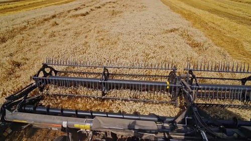 Metal detail of combine harvester. Modern combine harvesting wheat on the field in summer.