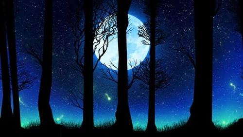 Beautiful Moon Through Forest