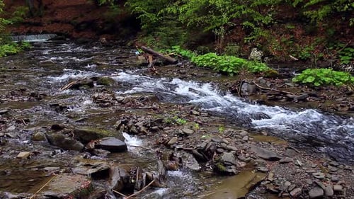 Gebirgsbach, der nach Regen in einen Fluss in den ukrainischen Karpaten fließt