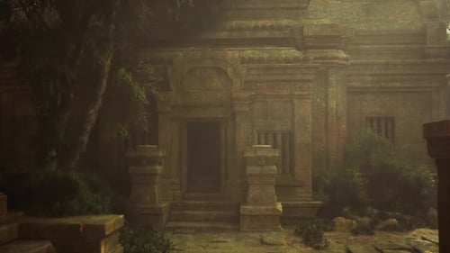 Historical Temple Remains Surrounded By Flourishing Plants and Shadows