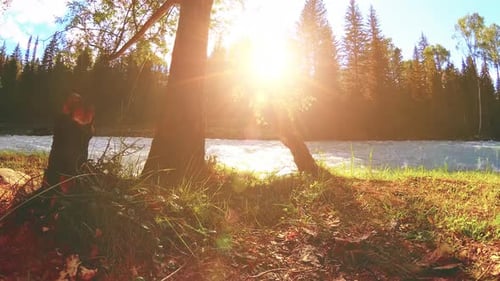 Meadow at Mountain River Bank Landscape with Green Grass Pine Trees and Sun Rays Movement on
