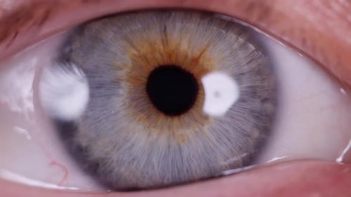 Ein Auge aus Nahaufnahme