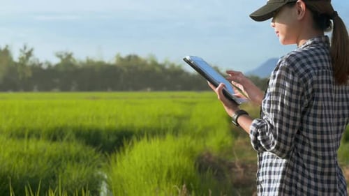 Young female smart farmer with tablet on field