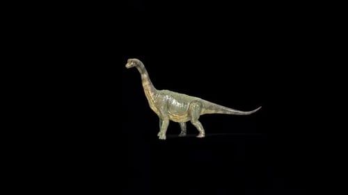 Paluxysaurus Walk 2