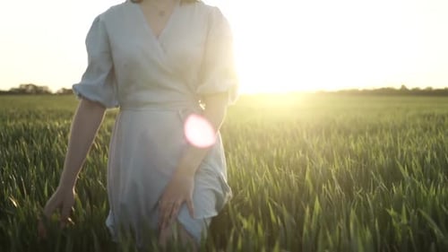 Young girl walks through green wheat field and touches the wheatear