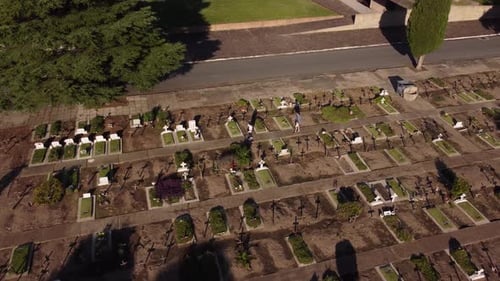 Aerial view of mother and father meeting and hugging in front of tomb on cemetery