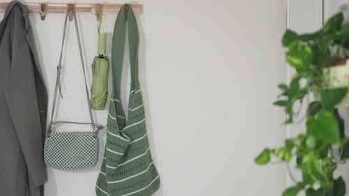 Organizar bolsas y plantas en un espacio de entrada luminoso
