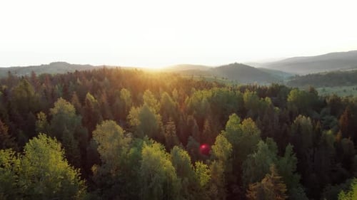 Aerial View of a Summer Mountain Landscape with Rocky Peaks on the Background