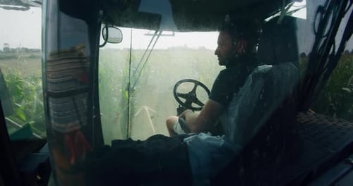 Slow motion close up of an young farmer is driving a mulcher tractor during working a corn on a fi