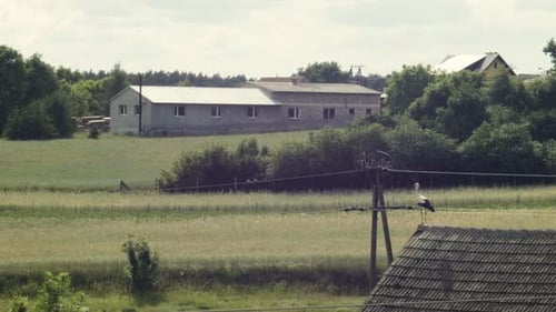 Stork on the roof looks at the village