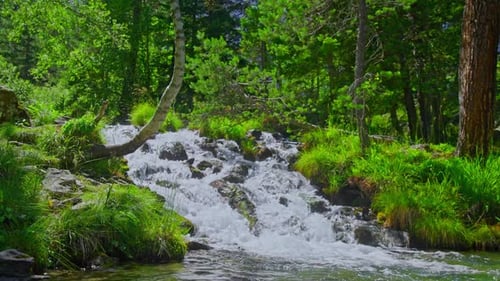 The Flow of Water in a Mountain River